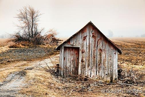 Field Shed_15104.jpg - Photographed at Ottawa, Ontario - the capital of Canada.